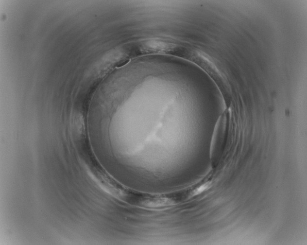 X0000066520459200603201328