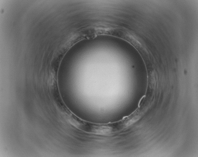 X0000066520463200603201328