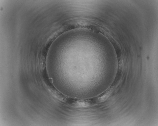 X0000066520464200603201328