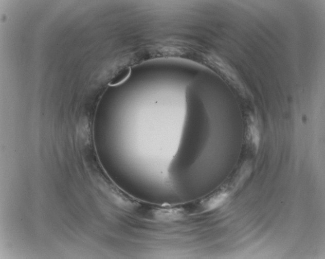 X0000066520465200603201328