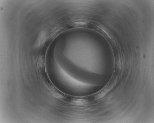 X0000066520467200603201328