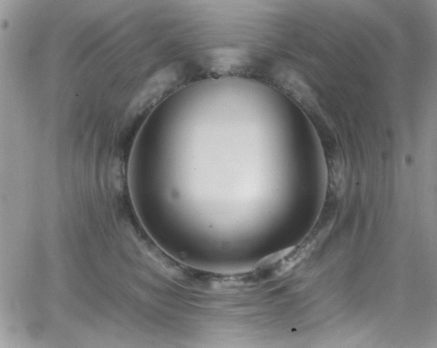 X0000066520470200603201328