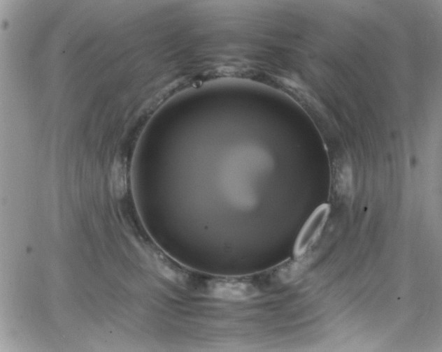 X0000066520471200603201328