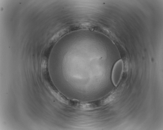 X0000066520472200603201328