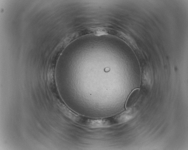 X0000066520473200603201328