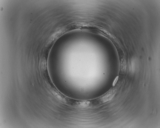 X0000066520474200603201328