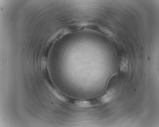 X0000066520476200603201328