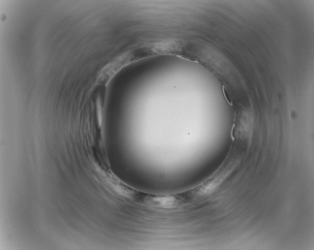 X0000066520478200603201328