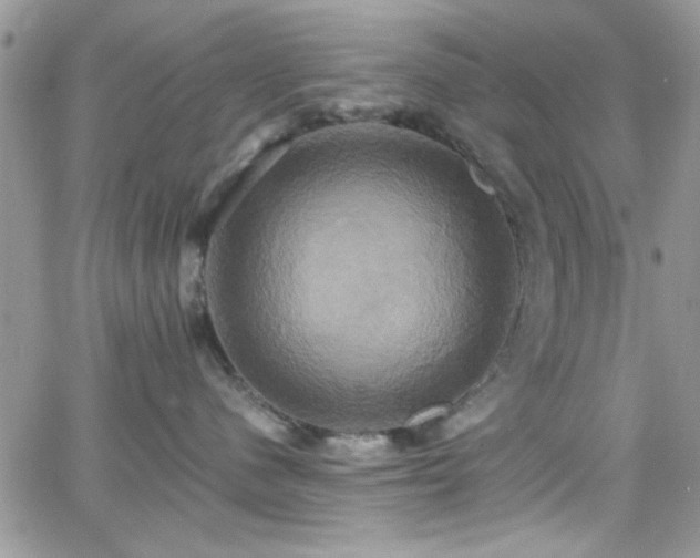 X0000066520480200603201328