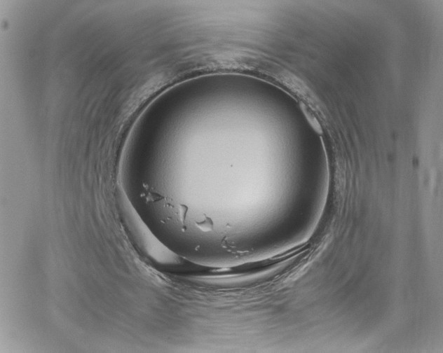 X0000066520481200603201327