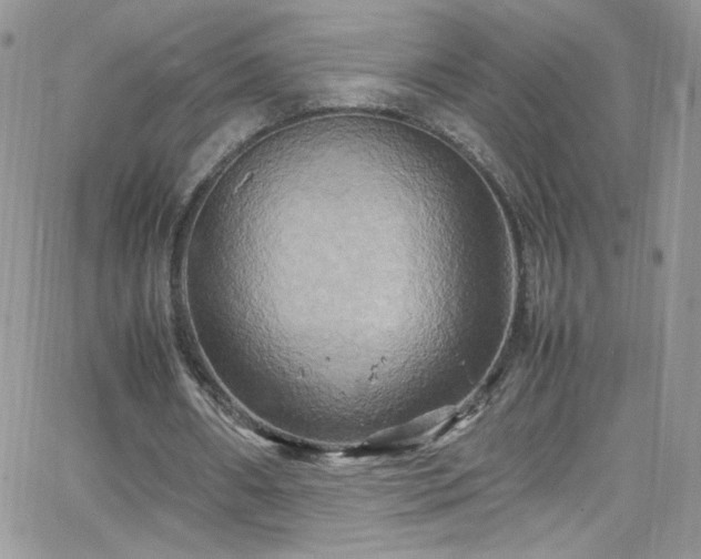 X0000066520482200603201327