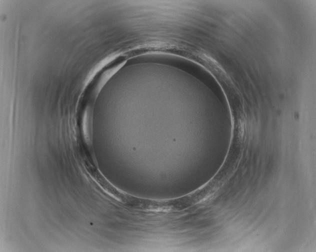 X0000066520484200603201327