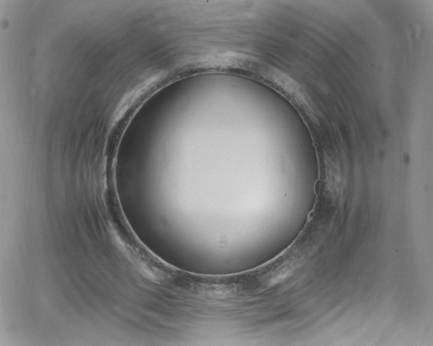 X0000066520486200603201327