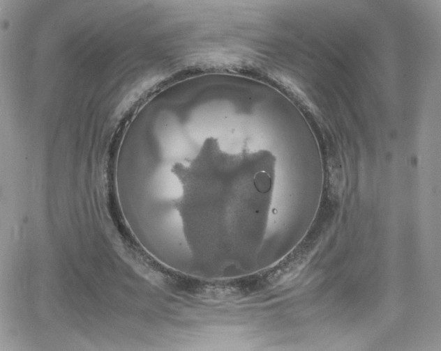 X0000066520487200603201327