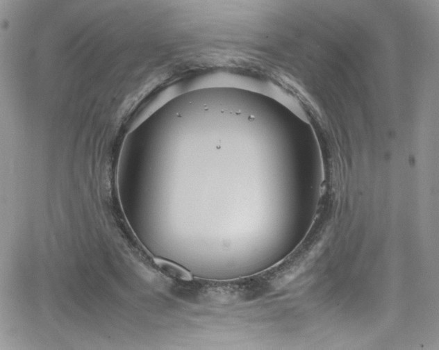 X0000066520489200603201327