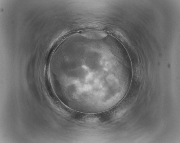 X0000066520491200603201327