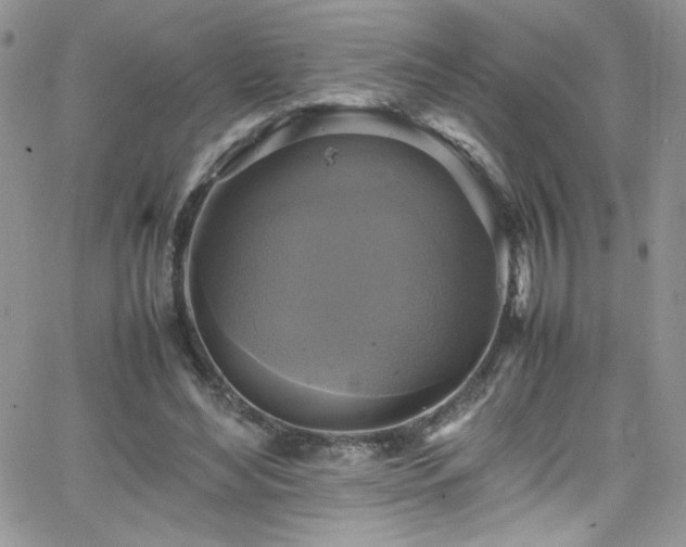 X0000066520492200603201327