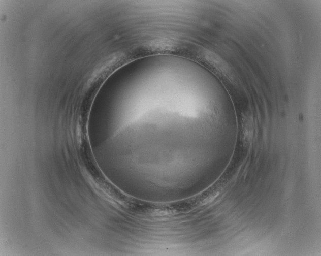 X0000066520494200603201327