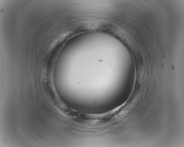 X0000066520497200603201327