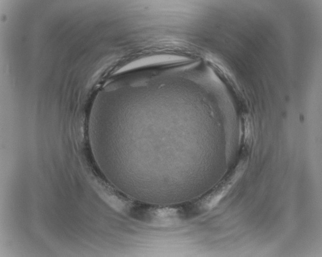 X0000066520501200603201327