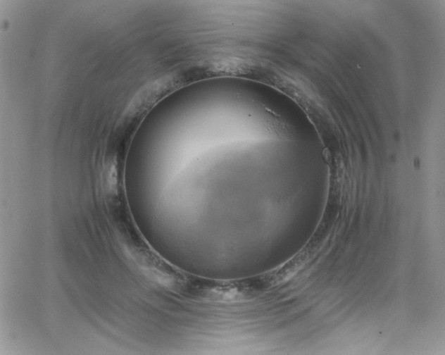 X0000066520502200603201327