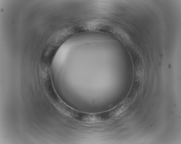 X0000066520503200603201327