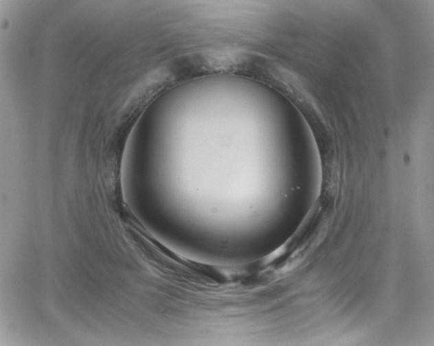 X0000066520505200603201327