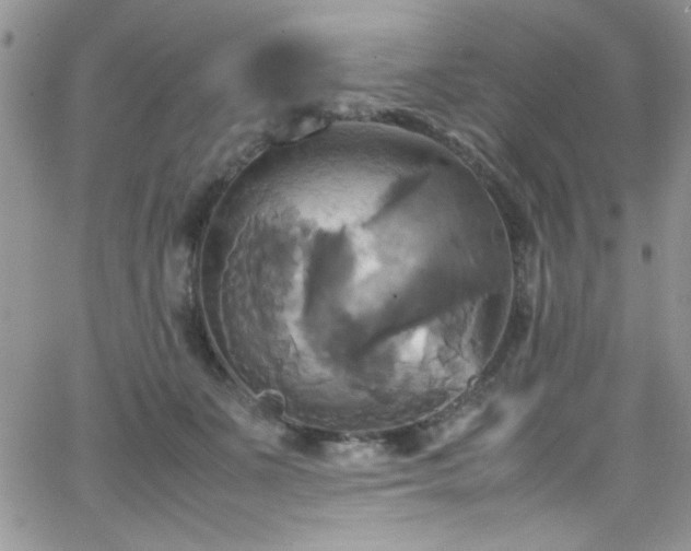 X0000066520511200603201327