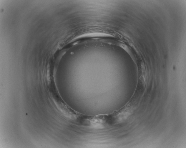 X0000066520512200603201327