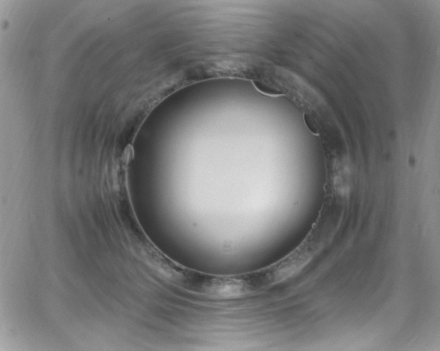 X0000066520514200603201327