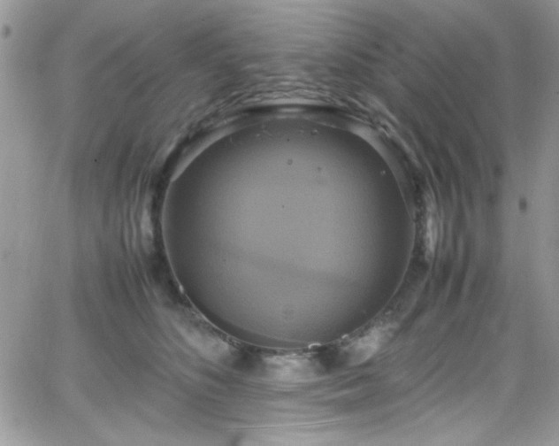 X0000066520516200603201327