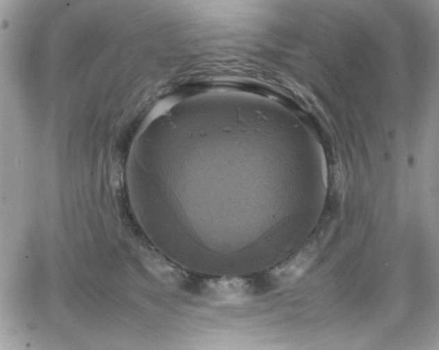 X0000066520517200603201327