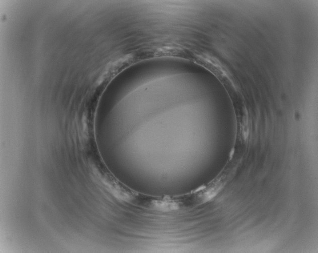 X0000066520520200603201327