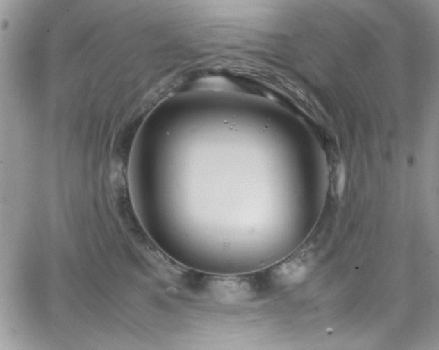 X0000066520521200603201327