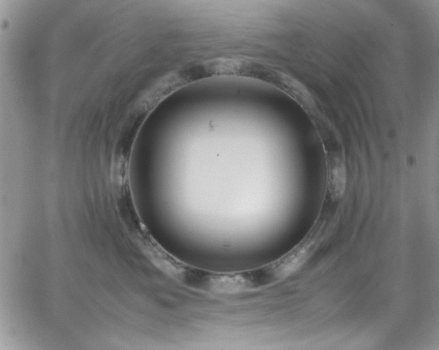 X0000066520525200603201327