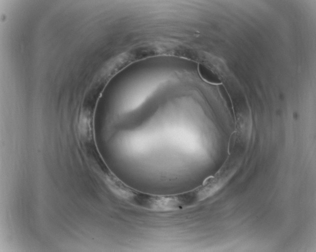 X0000066520527200603201327