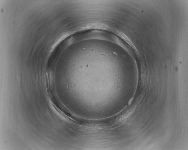 X0000066520530200603201326