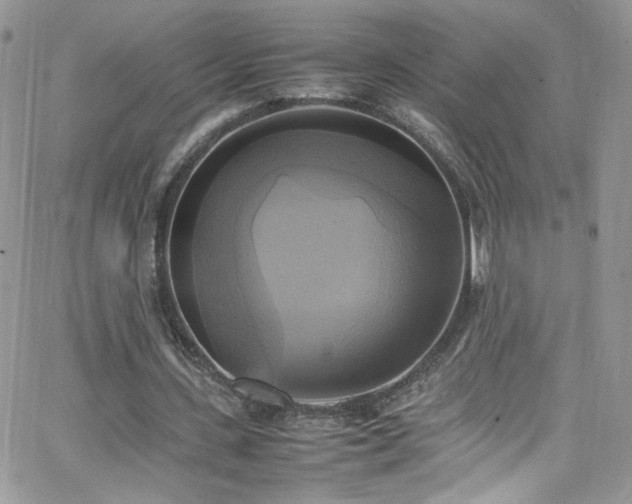 X0000066520531200603201326