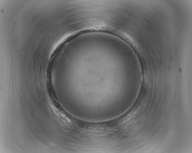 X0000066520532200603201326