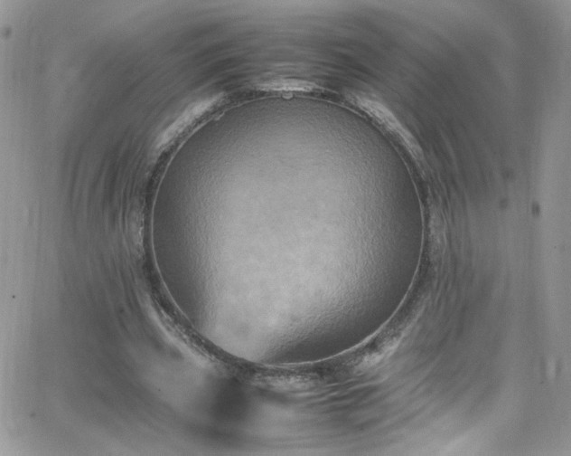 X0000066520533200603201326