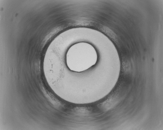 X0000066520534200603201326