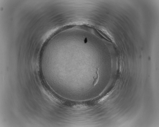 X0000066520536200603201326