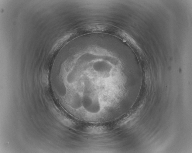 X0000066520537200603201326