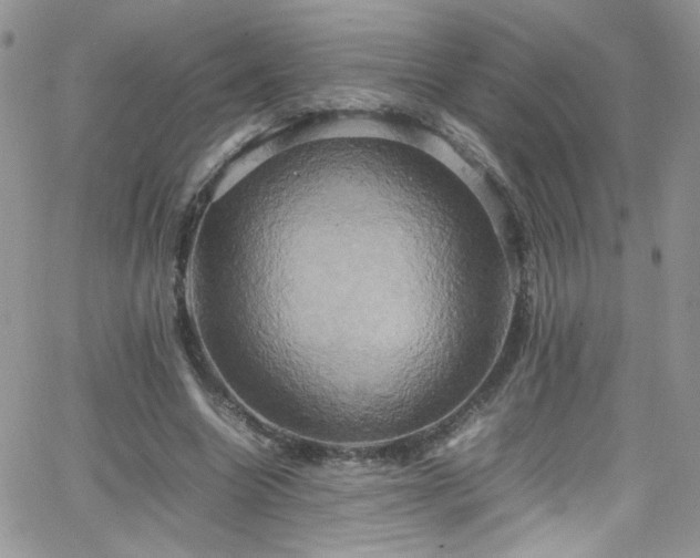 X0000066520538200603201326