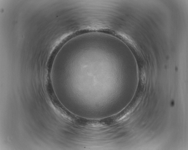 X0000066520540200603201326