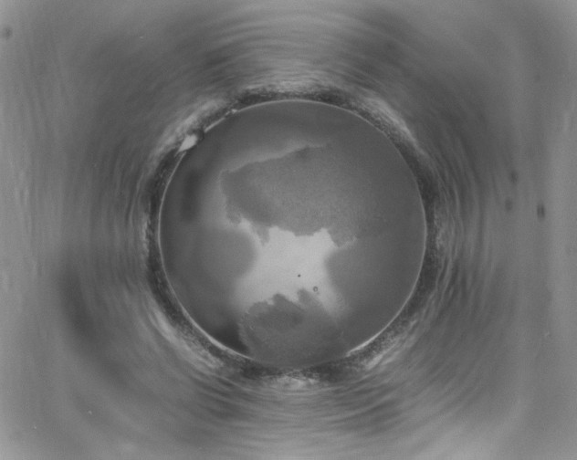 X0000066520542200603201326