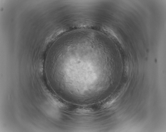 X0000066520545200603201326