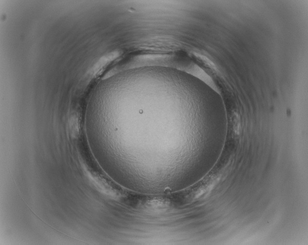 X0000066520546200603201326