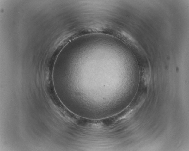 X0000066520548200603201326