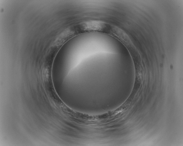 X0000066520551200603201326